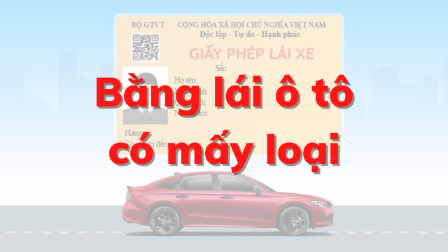 Các loại bằng lái xe ô tô - Thông tin hữu ích cho người mới bắt đầu