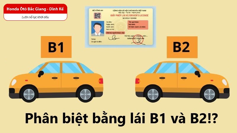 bang-lai-xe-b1-va-b2-co-gi-khac-nhau-BG